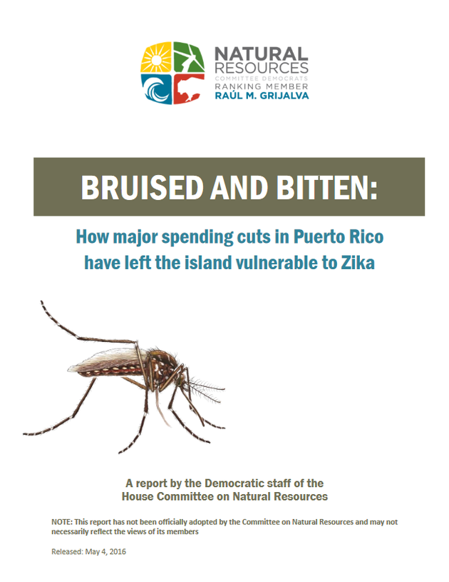 Bruised and Bitten: How Major Spending Cuts in Puerto Rico Have Left The Island Vulnerable to Zika (May 2016)
