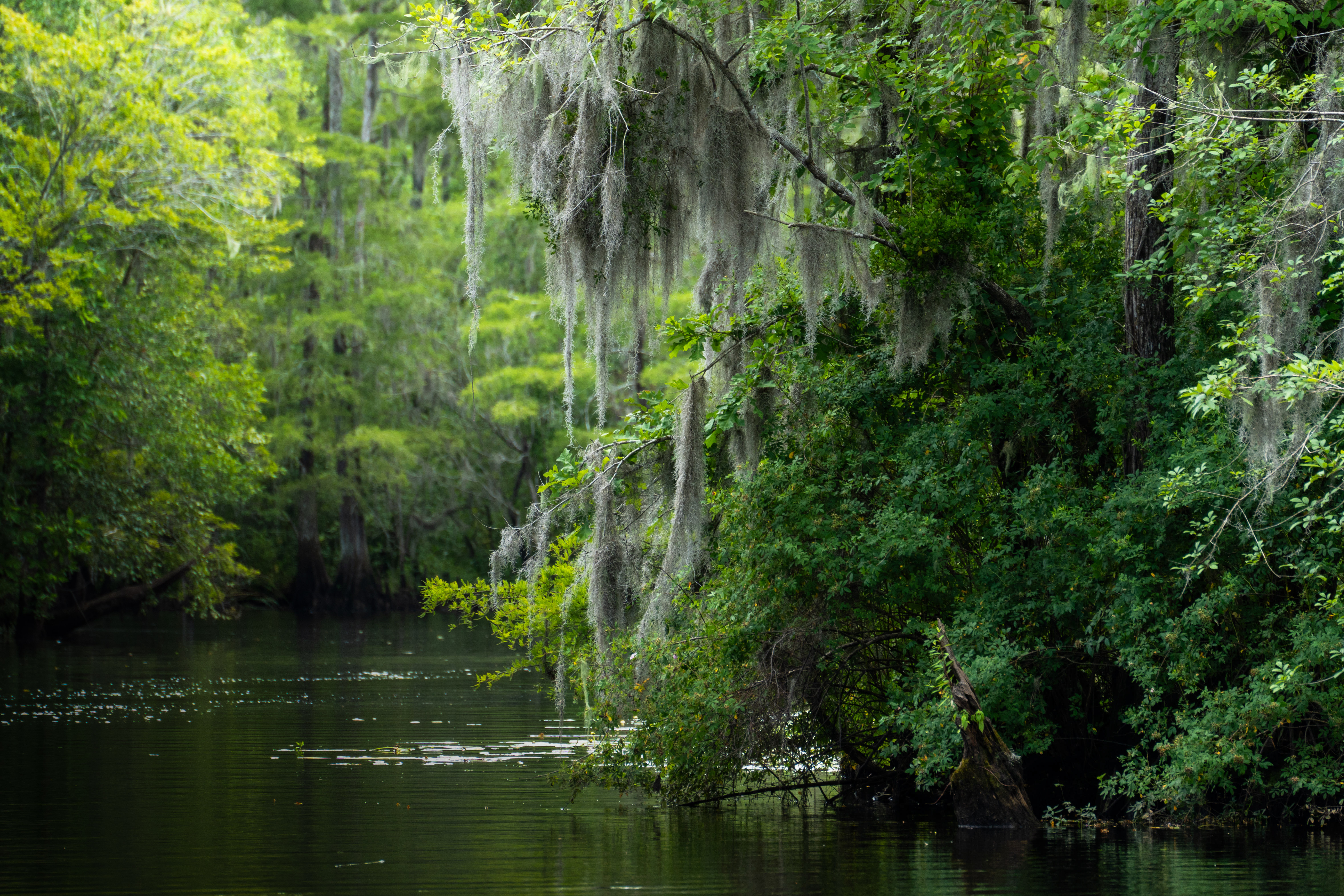 Climate Wins | Committee Activity | The House Committee on Natural ...